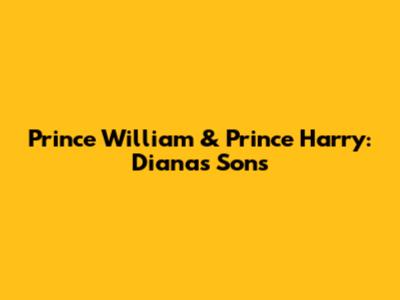 Prince William & Prince Harry: Diana's Sons