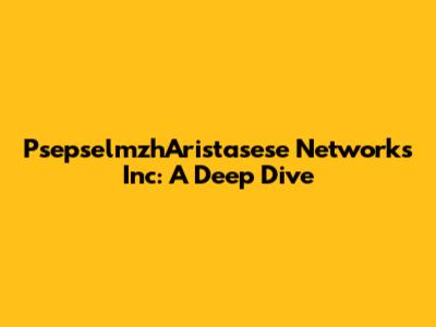PsepselmzhAristasese Networks Inc: A Deep Dive