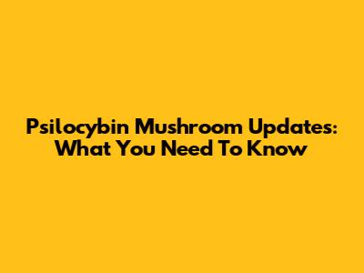 Psilocybin Mushroom Updates: What You Need To Know