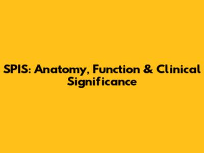 SPIS: Anatomy, Function & Clinical Significance