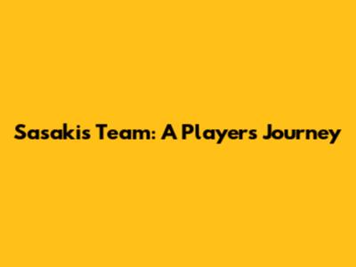 Sasaki's Team: A Player's Journey