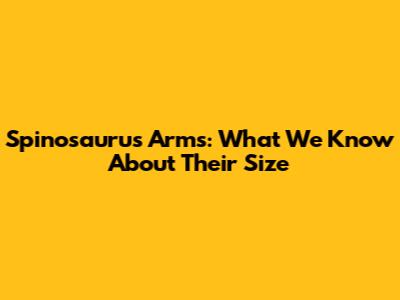 Spinosaurus Arms: What We Know About Their Size