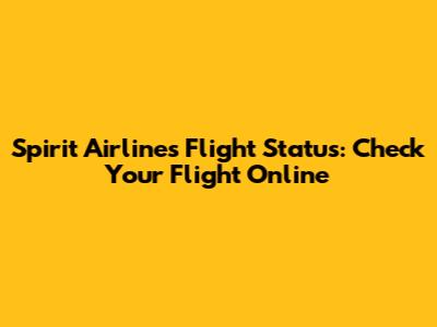 Spirit Airlines Flight Status: Check Your Flight Online