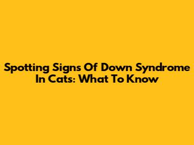 Spotting Signs Of Down Syndrome In Cats: What To Know