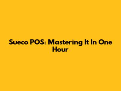 Sueco POS: Mastering It In One Hour