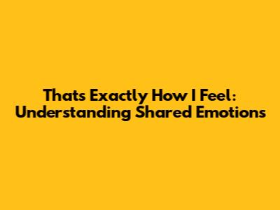 That's Exactly How I Feel: Understanding Shared Emotions