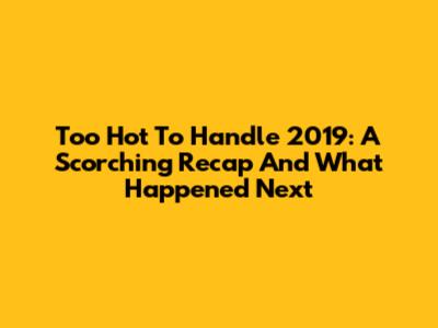 Too Hot To Handle 2019: A Scorching Recap And What Happened Next