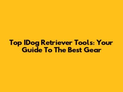 Top IDog Retriever Tools: Your Guide To The Best Gear