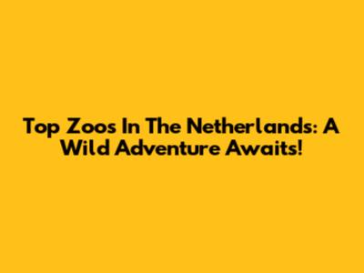 Top Zoos In The Netherlands: A Wild Adventure Awaits!