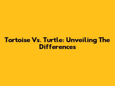 Tortoise Vs. Turtle: Unveiling The Differences