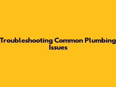 Troubleshooting Common Plumbing Issues
