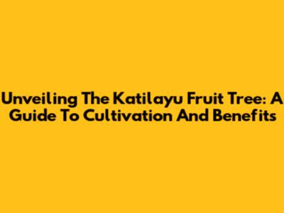 Unveiling The Katilayu Fruit Tree: A Guide To Cultivation And Benefits