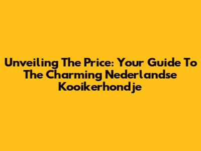 Unveiling The Price: Your Guide To The Charming Nederlandse Kooikerhondje