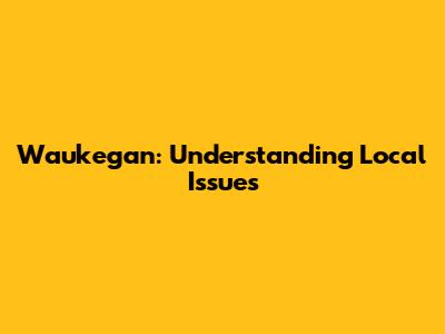 Waukegan: Understanding Local Issues